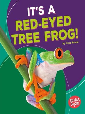 cover image of It's a Red-Eyed Tree Frog!